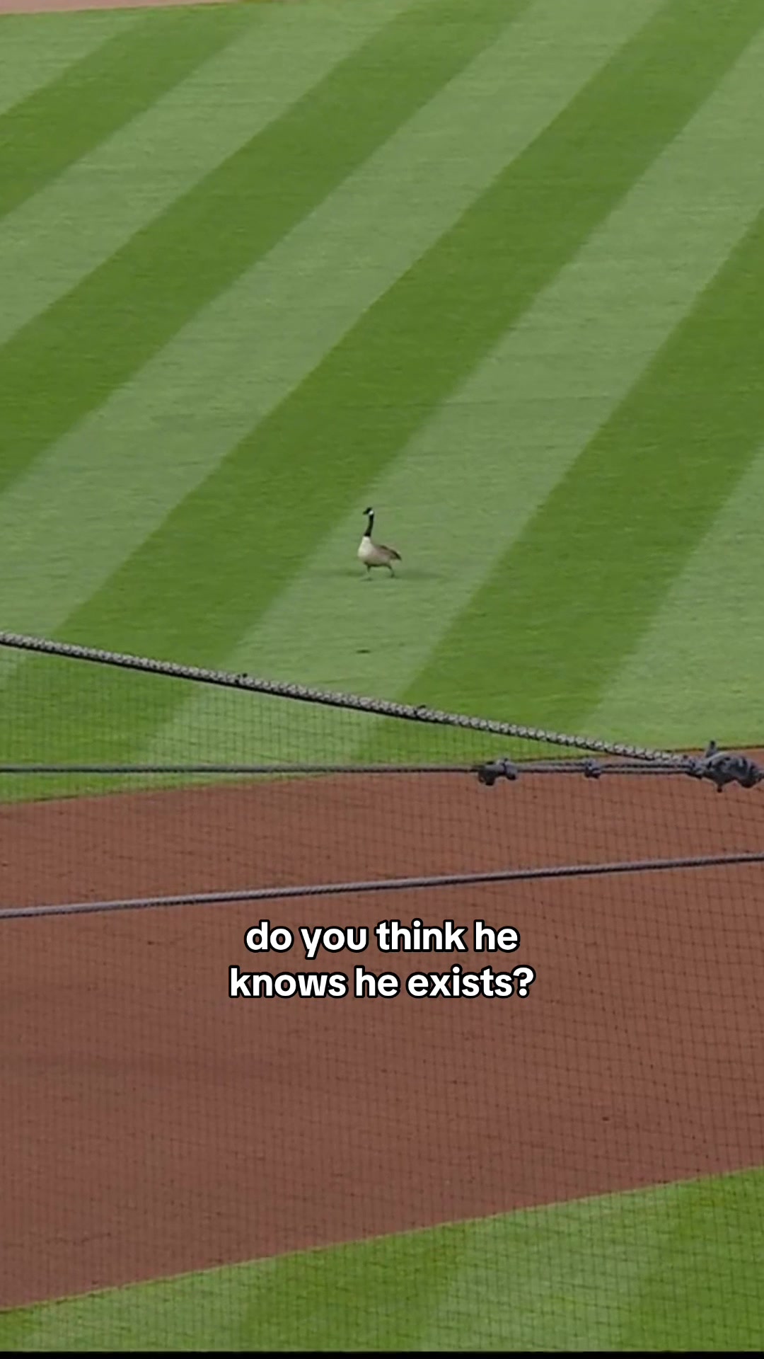 @Cubs