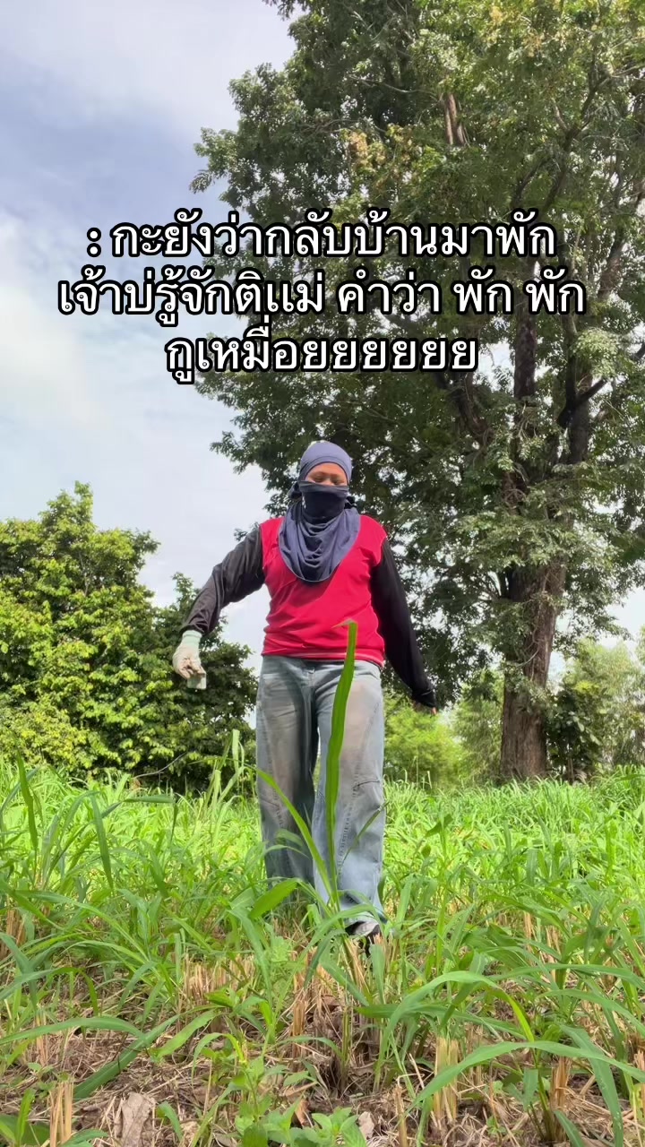 @Nokkiki (นกกิกิ)