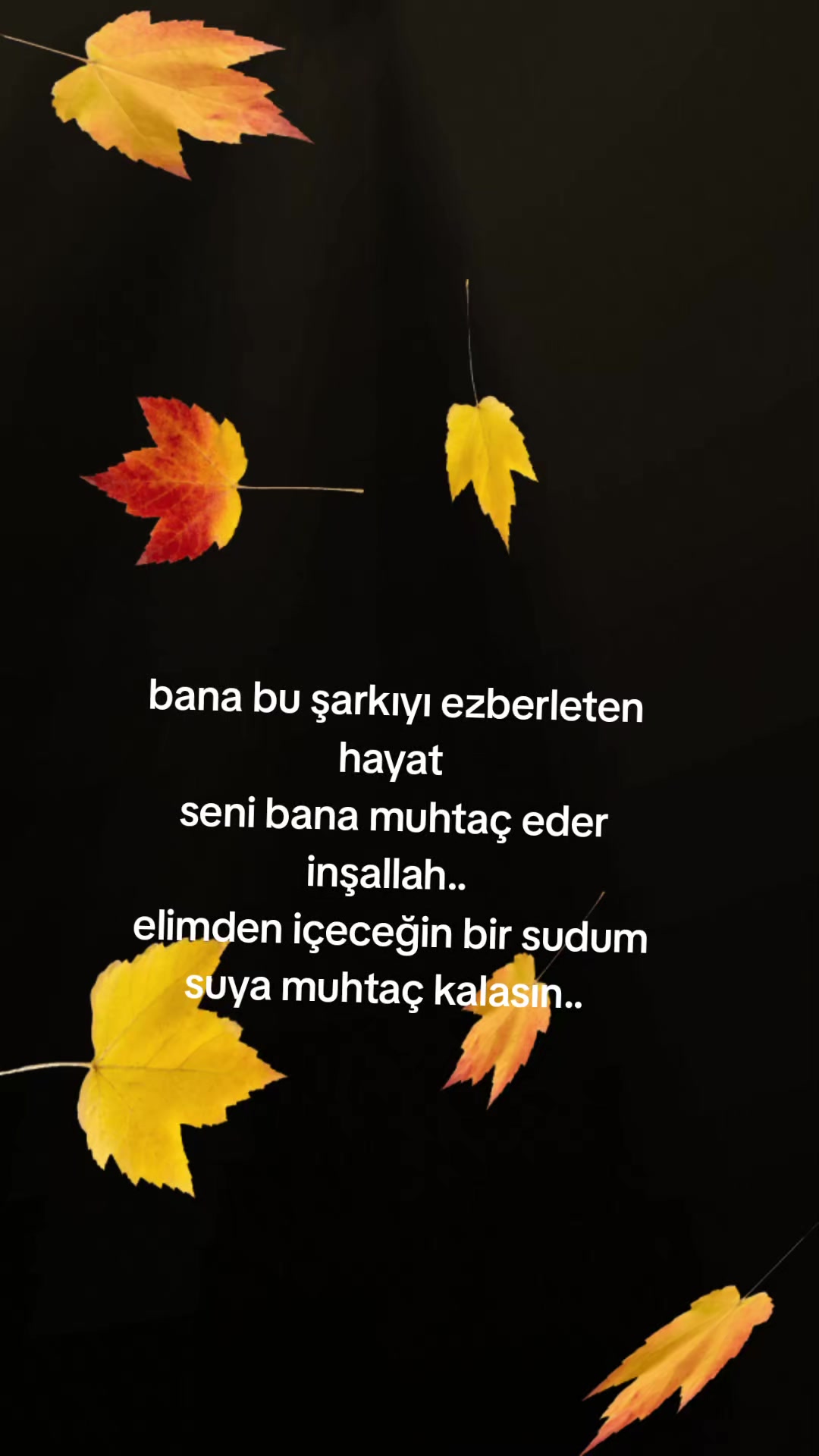 @Yarım kalan kadın..!