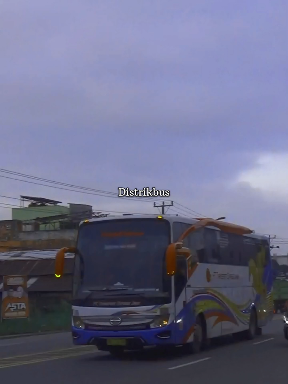 @Distrikbus