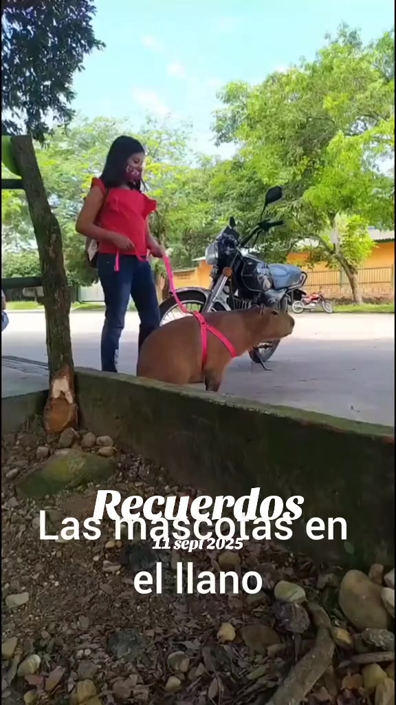 @sh!790