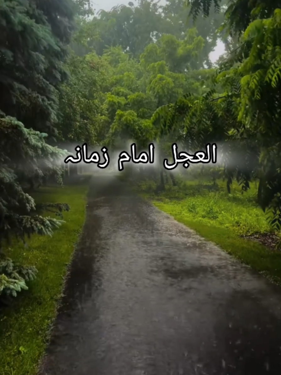 @zar_e_nayaab