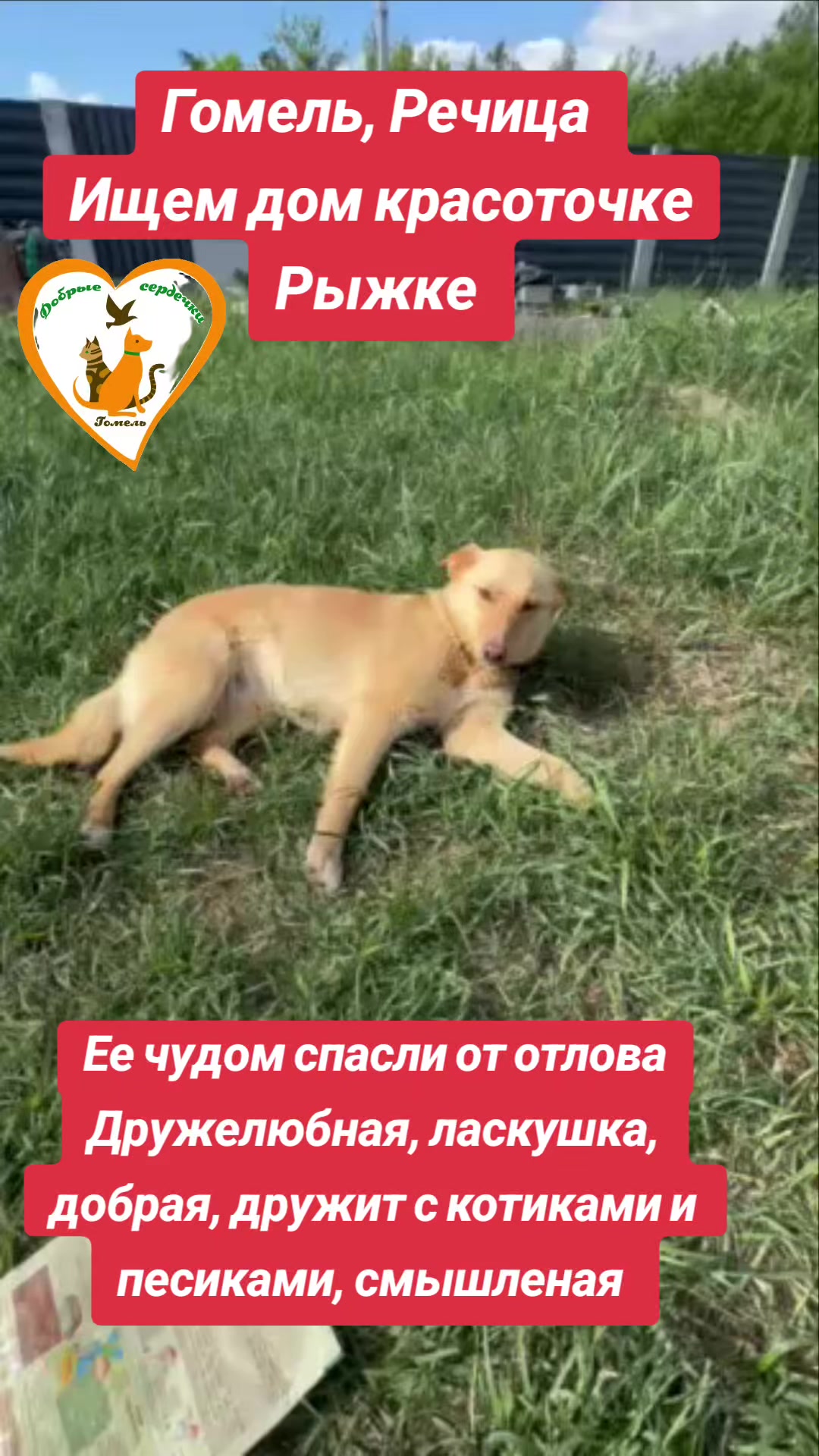 @Марина
