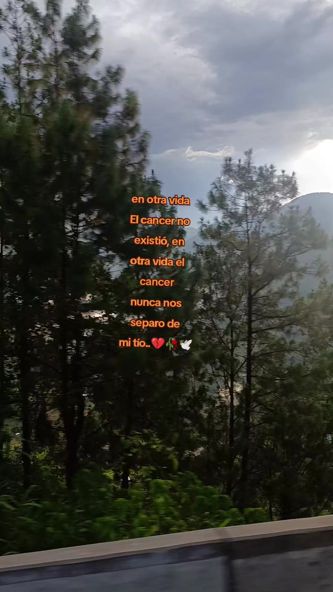 @Andreavera⚓❤️