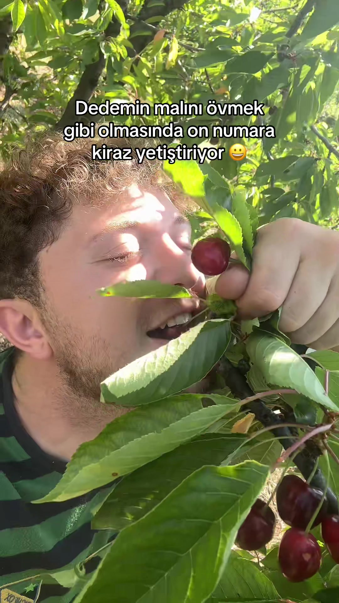 @Cihat