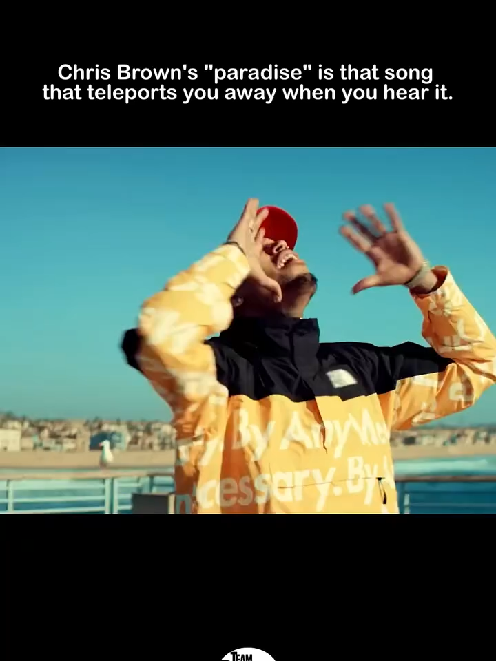 @chrisbreezybrown