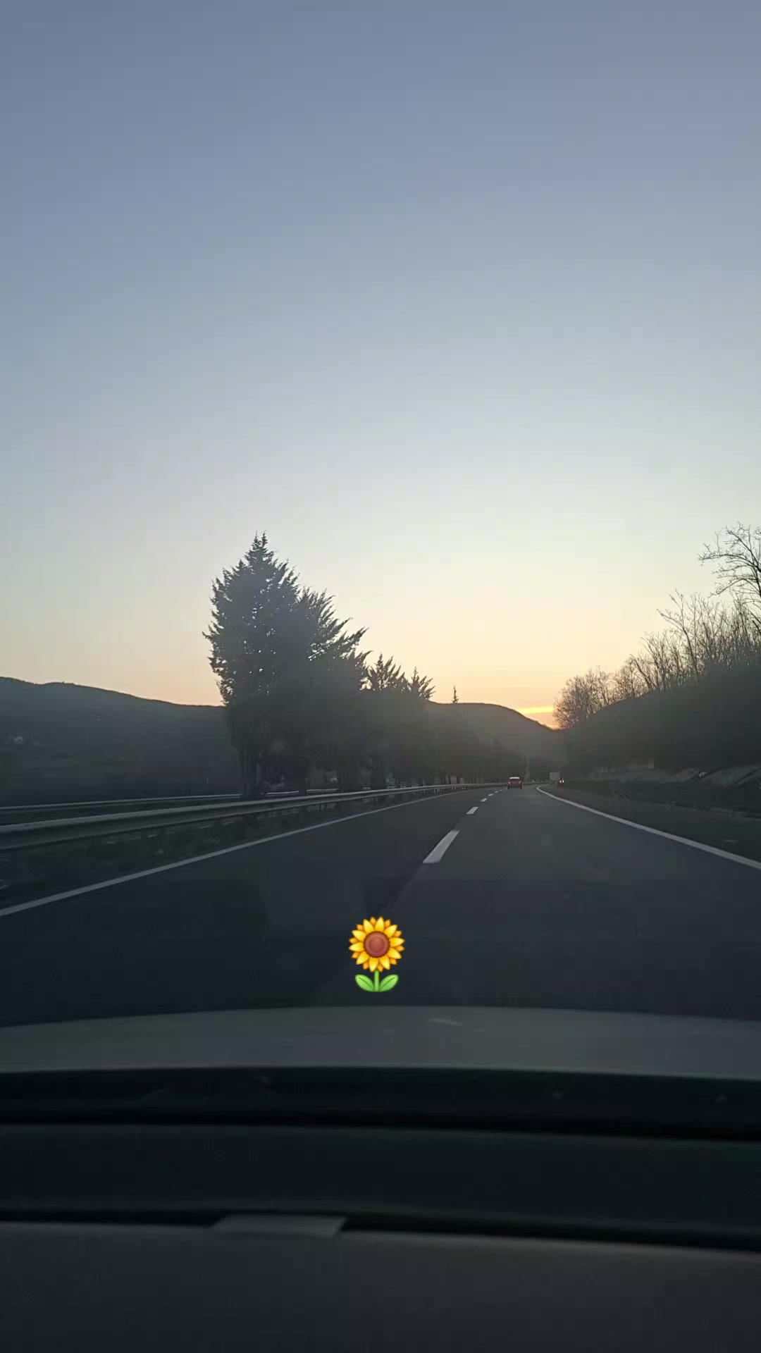 @Rreze Dielli🌻