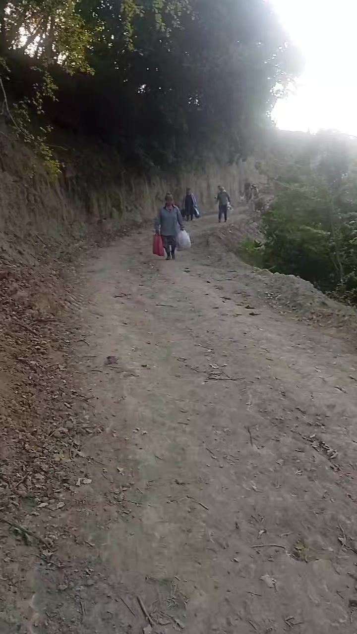@gülum