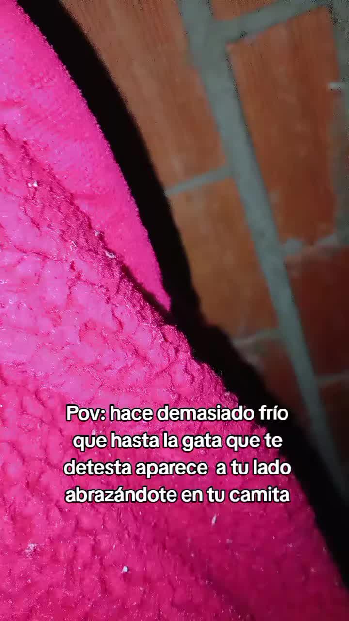 @soyross<3 ❤️&zwj;🩹👑