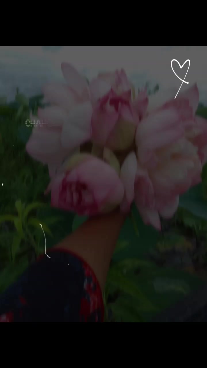 @শিশির ভেজা