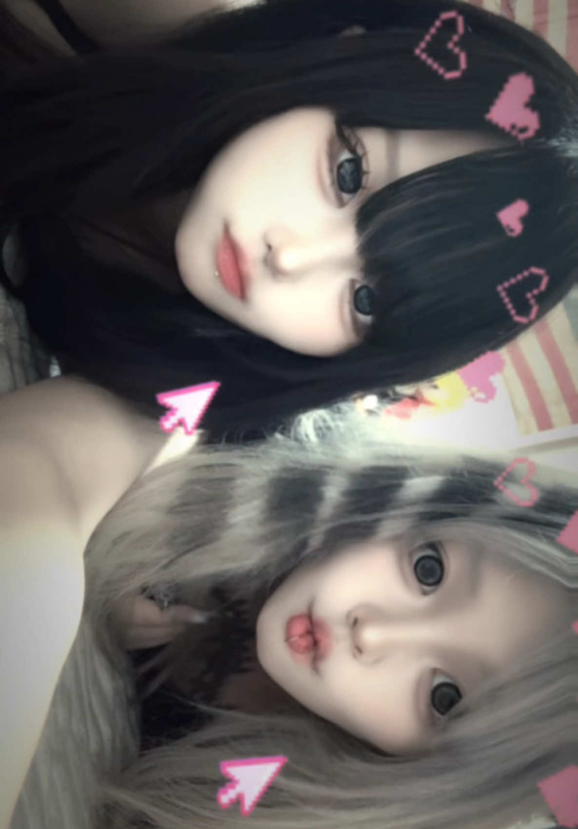 @にゃんぱすー。