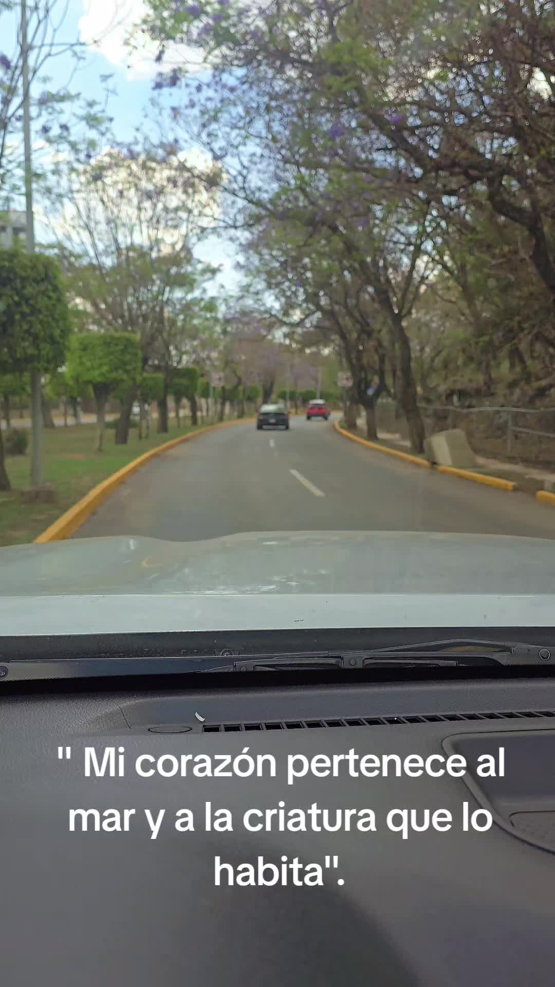 @Alejandro