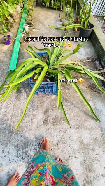 @🥀RAIYAN ER AMMU🥀