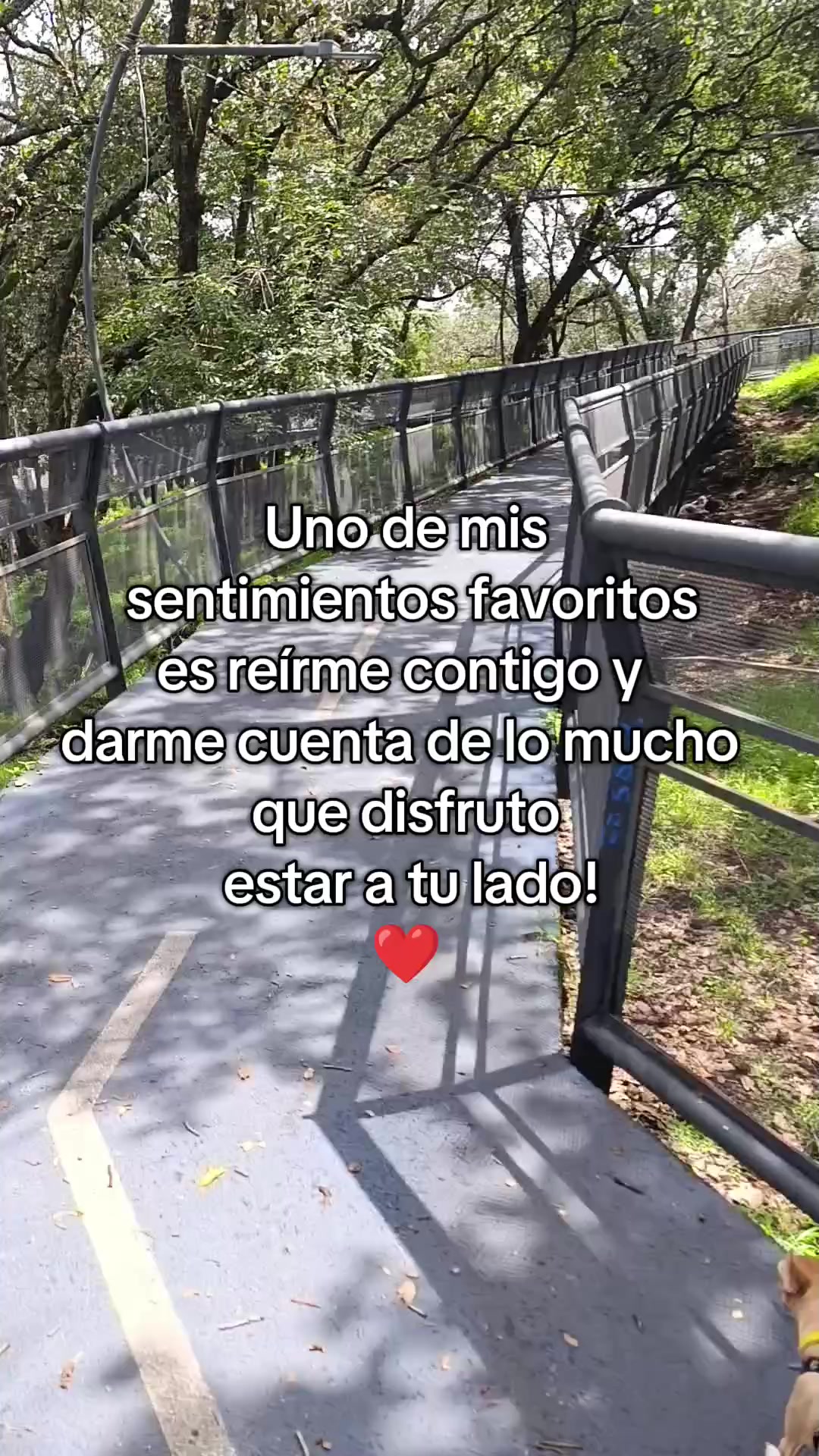 @Leslie DommWall
