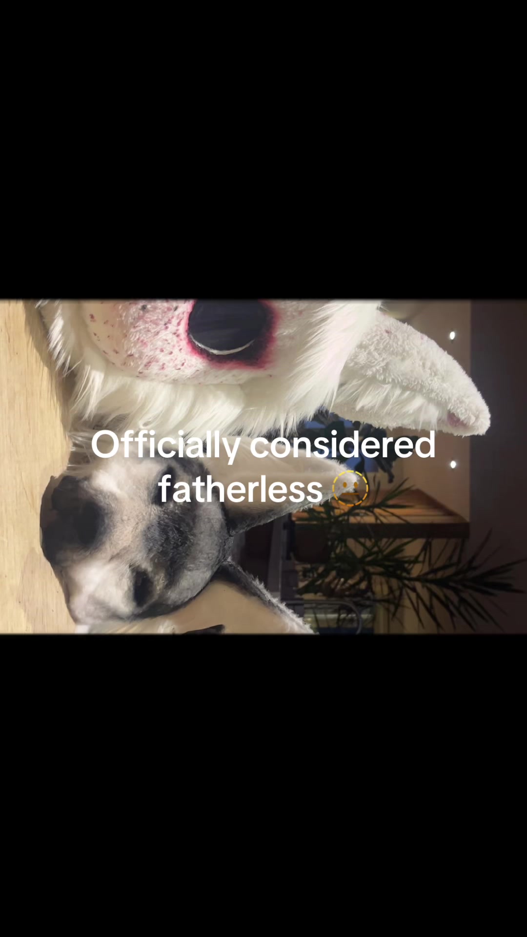 @zhobbyhorse