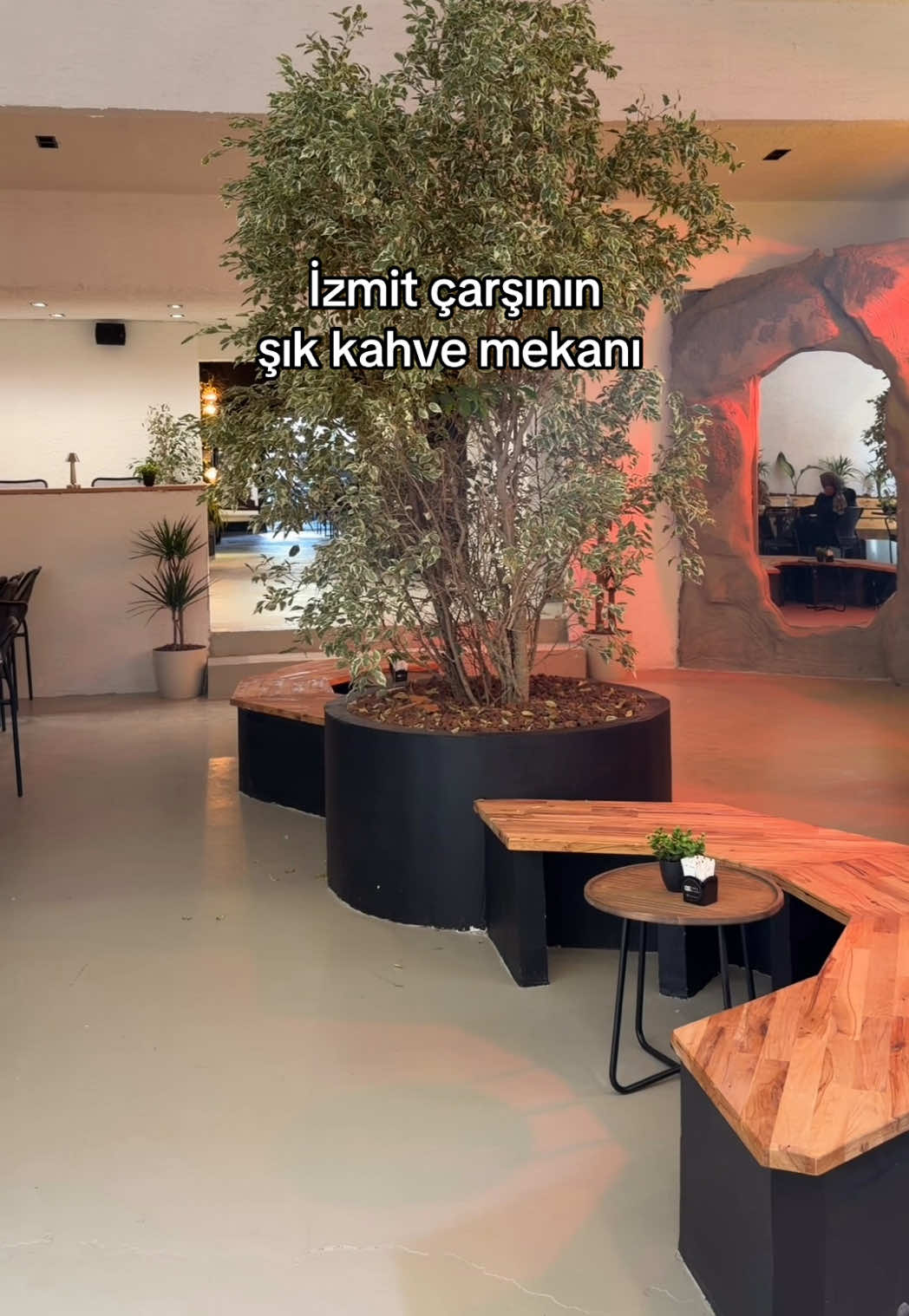 @s&uuml;meyra &ccedil;alık