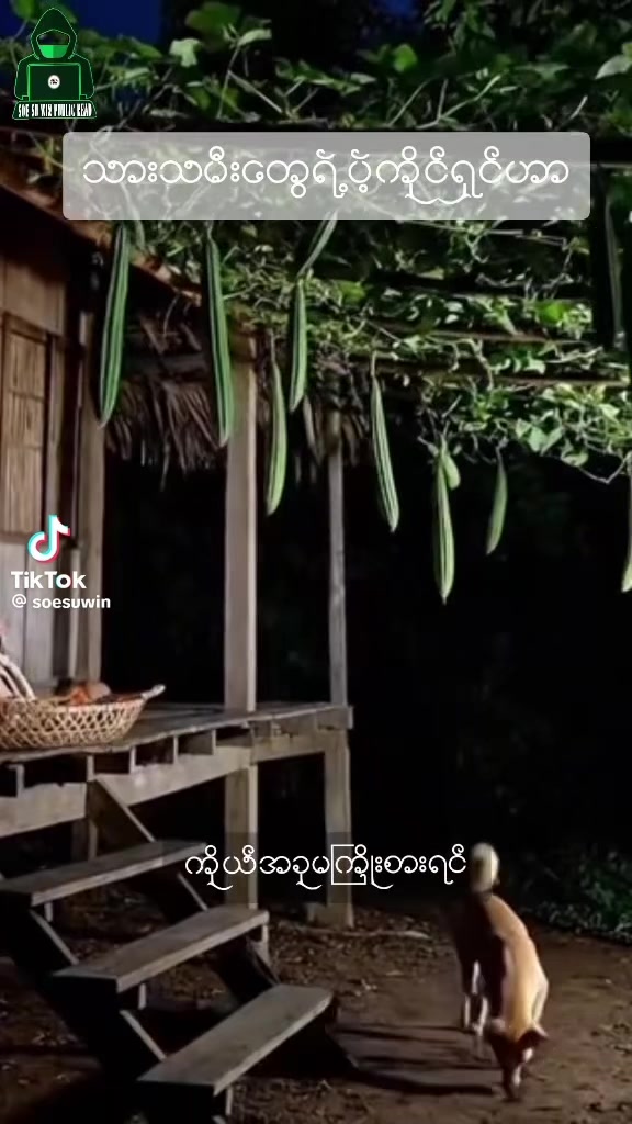 @Kim