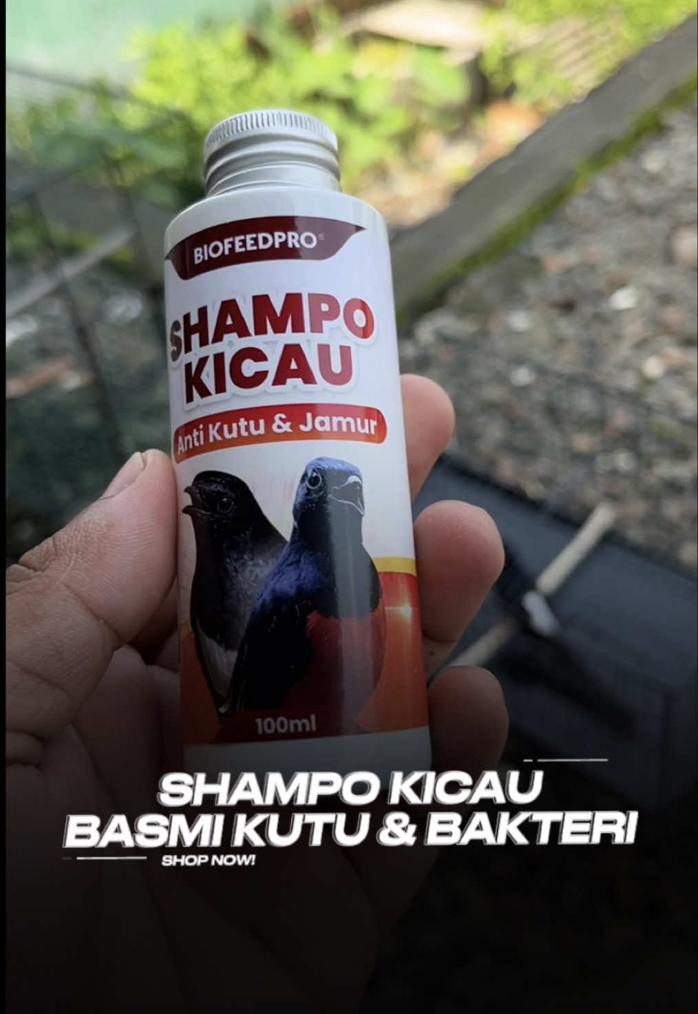 @KICAUNESIA ONLINE