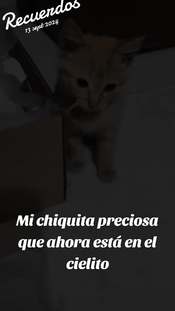 @Claudia Ramírez