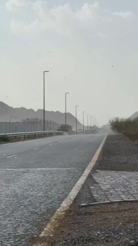 @ولد زايد 🇦🇪