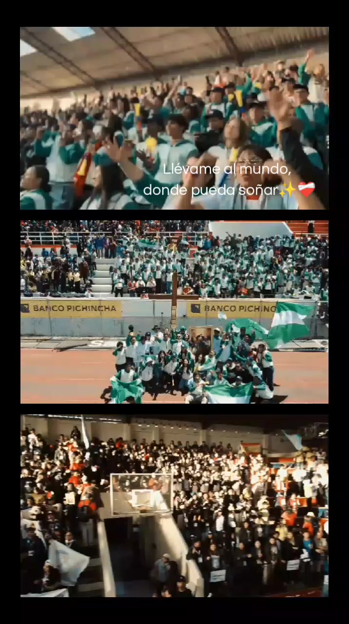 @carluis2002✨