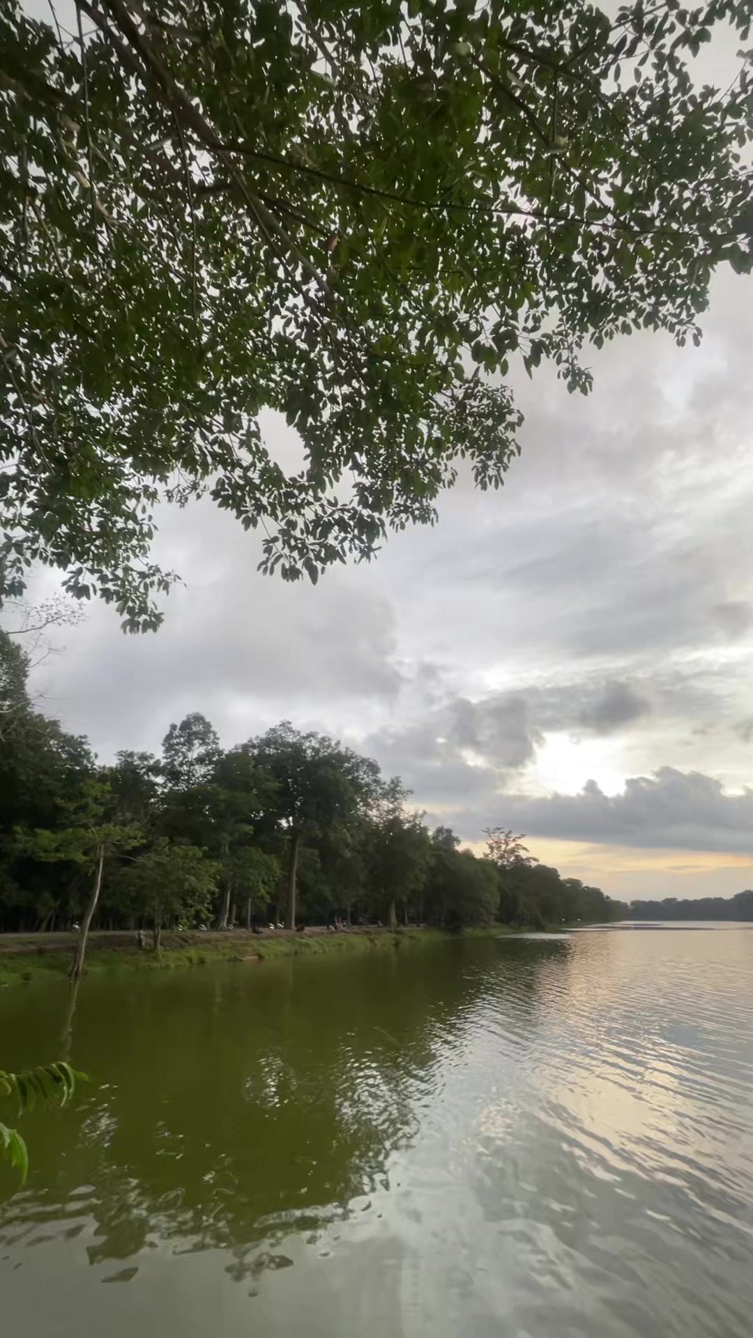 @🌱𝕂𝕚𝕞𝕝𝕪 𝕊𝕒𝕞🌳