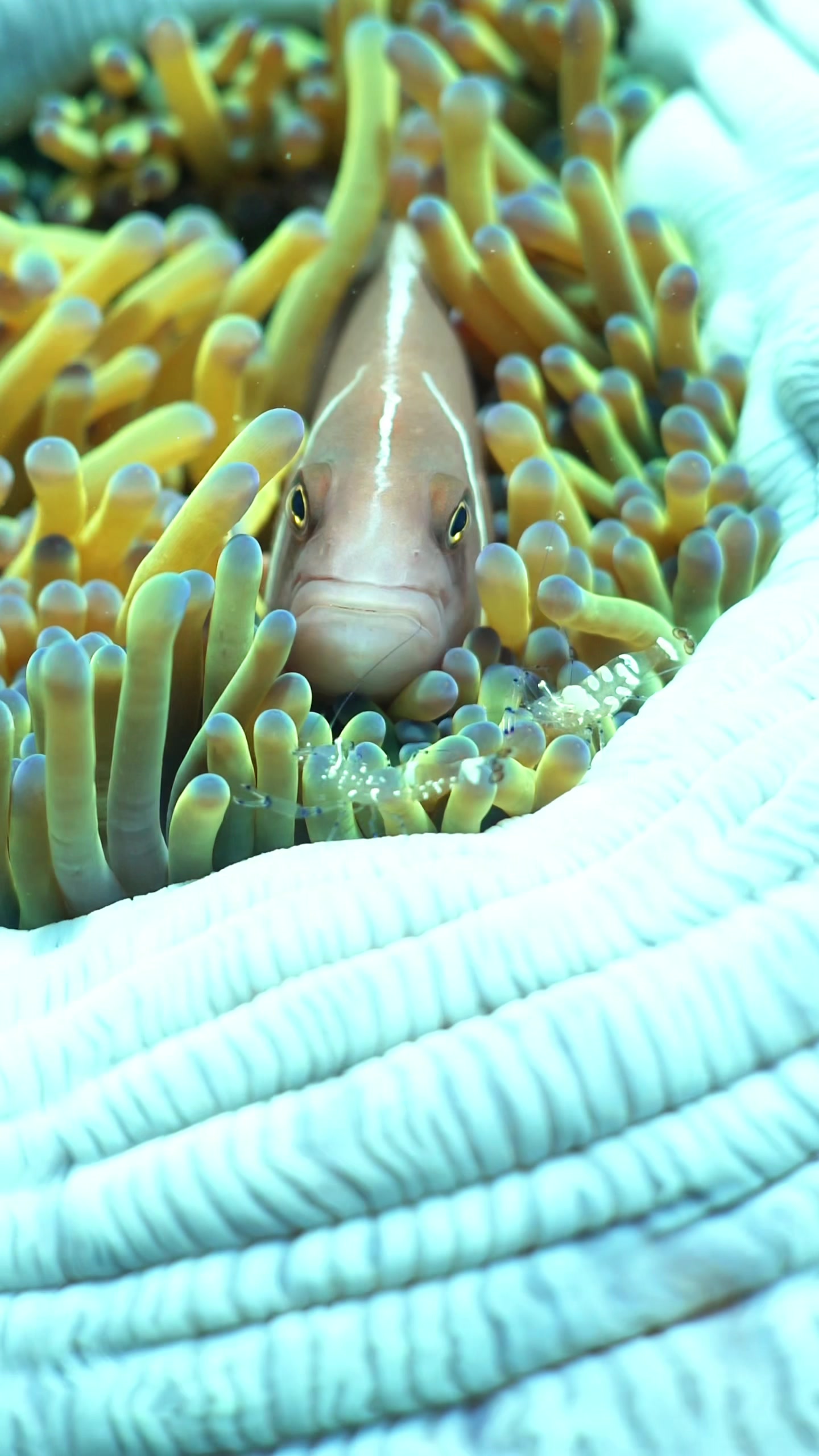 @Buddha View Dive Centre