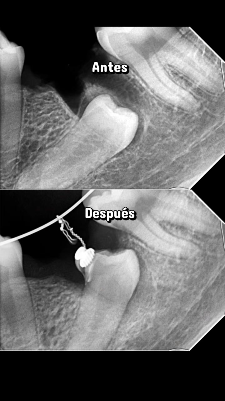 @Dr. Manuel Ortodoncista