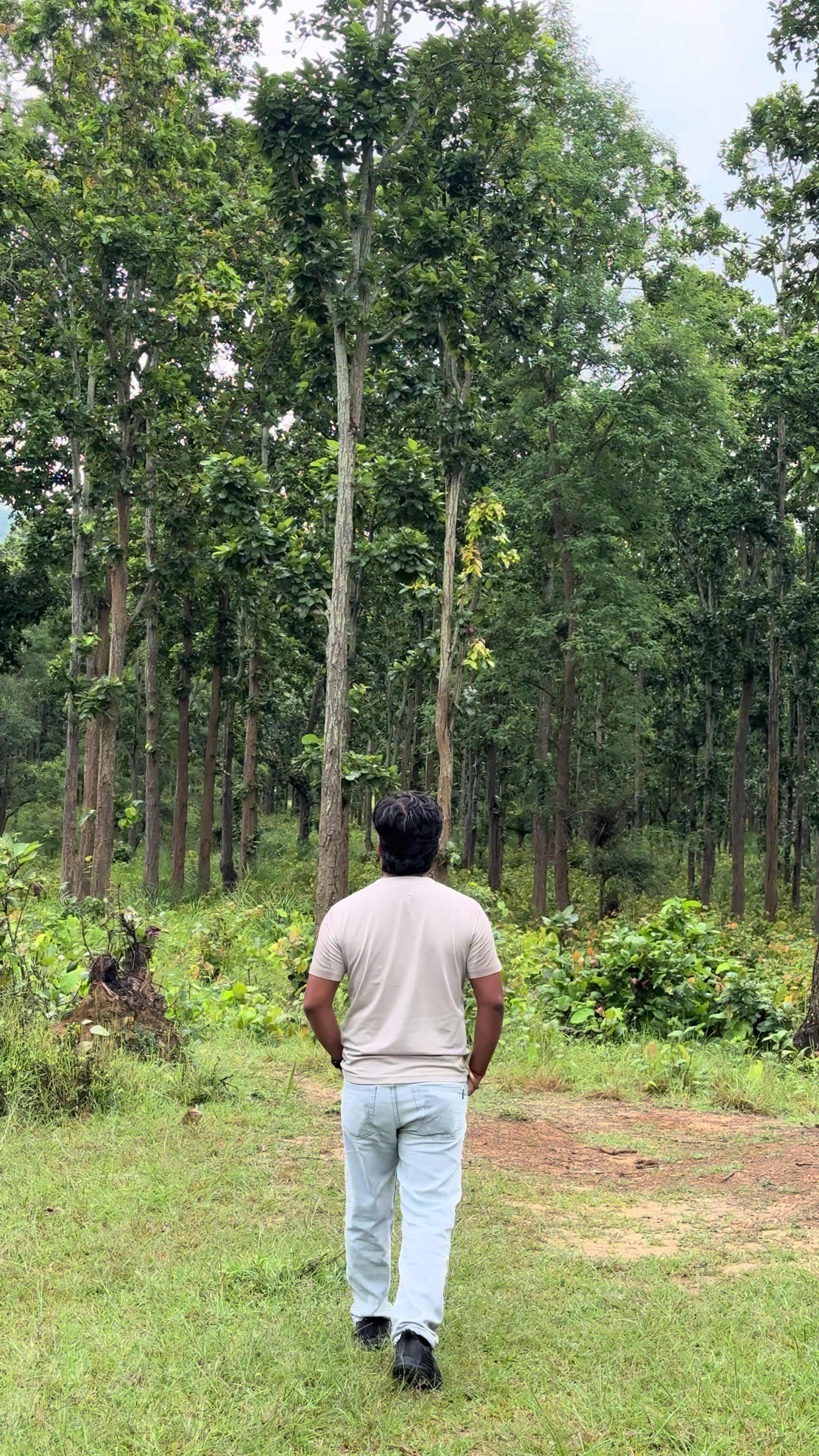 @Sudarshan Yadav Chhetree