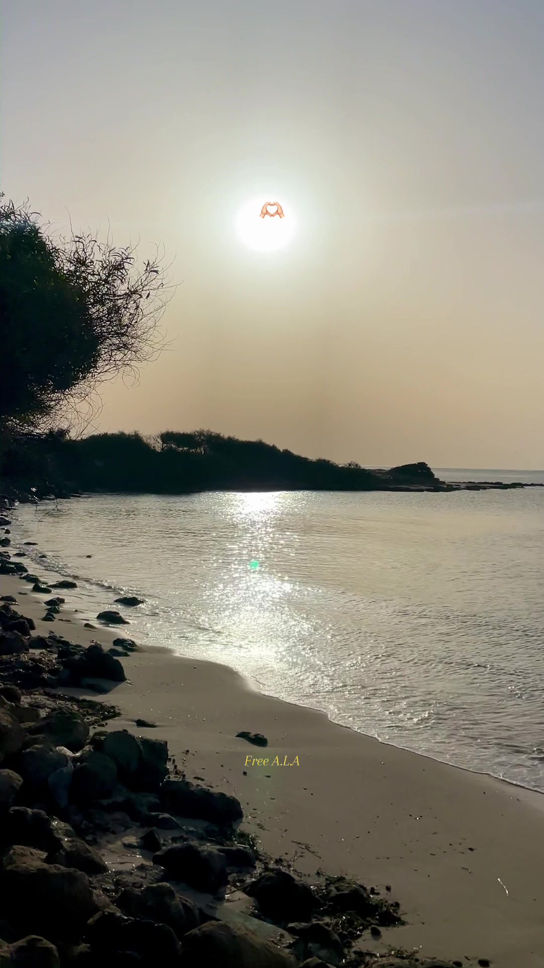@tunivibes1
