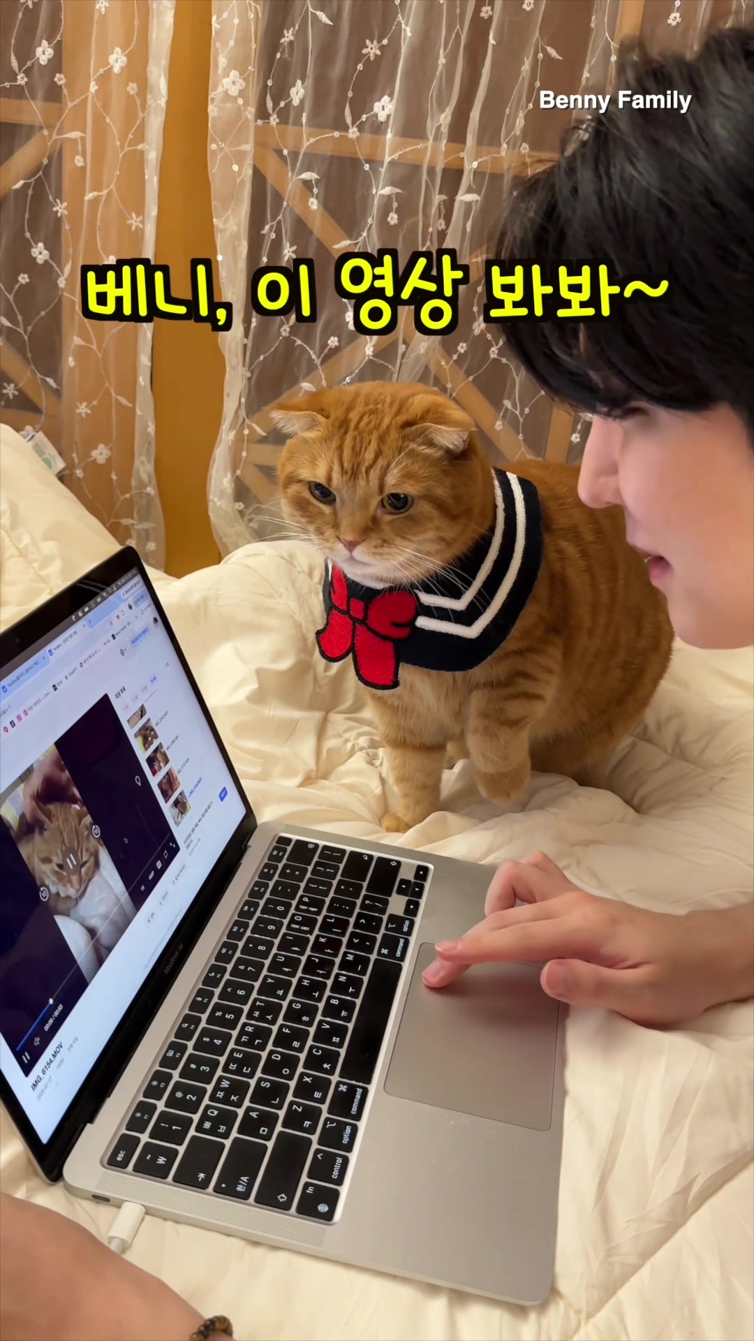 @베니패밀리 Benny Family