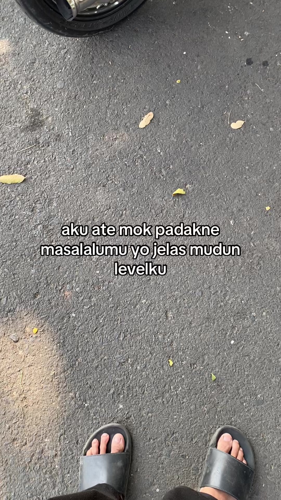 @rikofredii