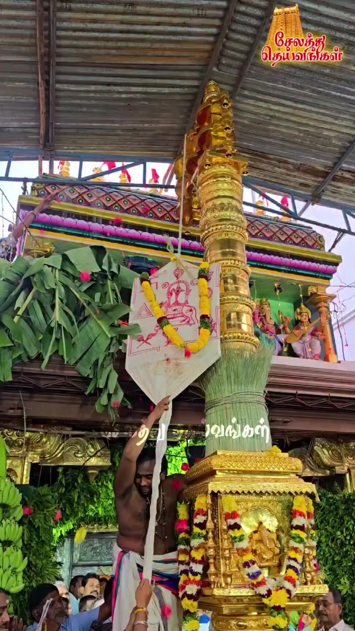 @Madi Nathan