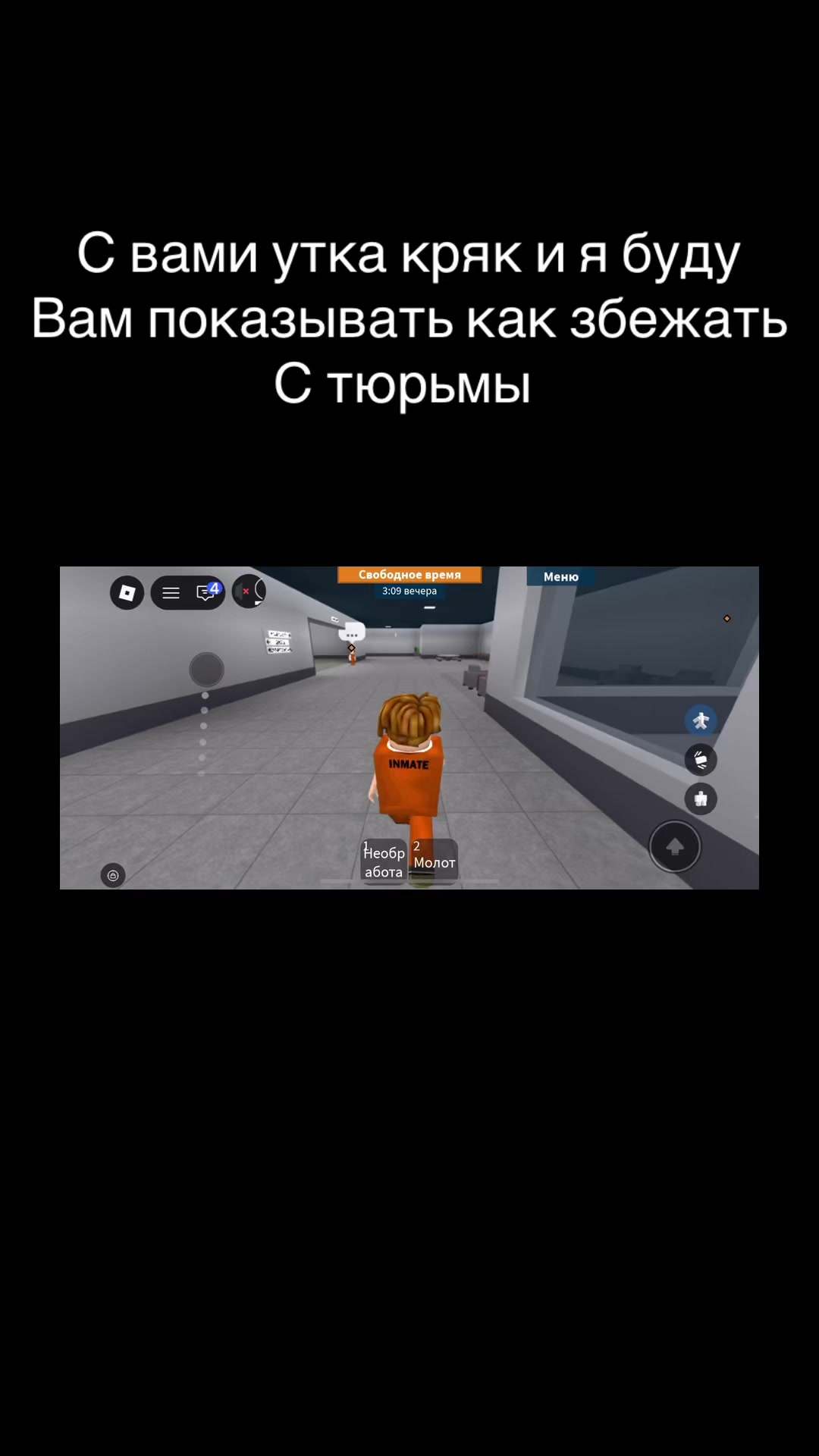 @🐥УТКА КРЯК🐥