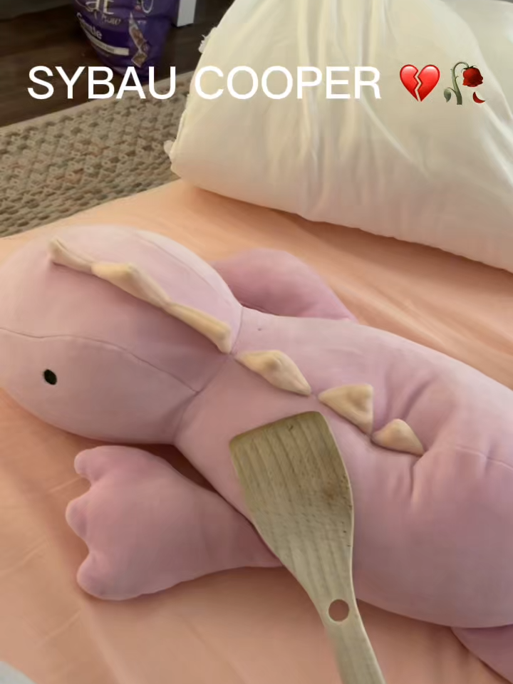 @SYBAU 🥀