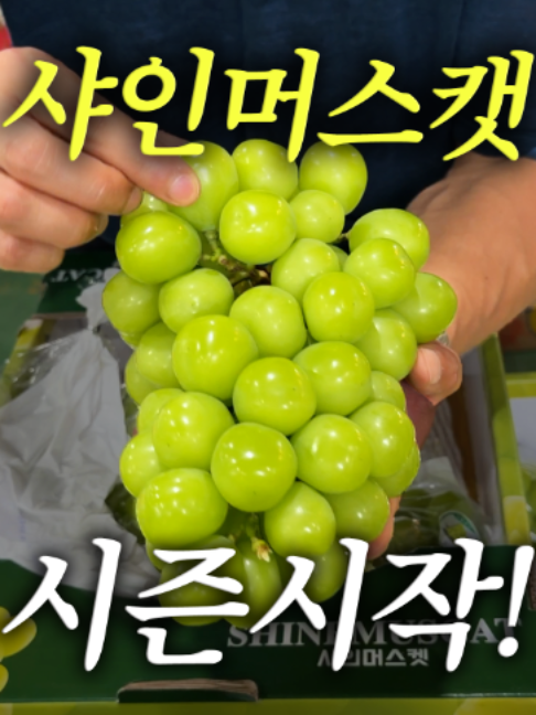 @해운대송사장