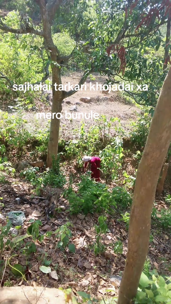 @Manisha Chalaune