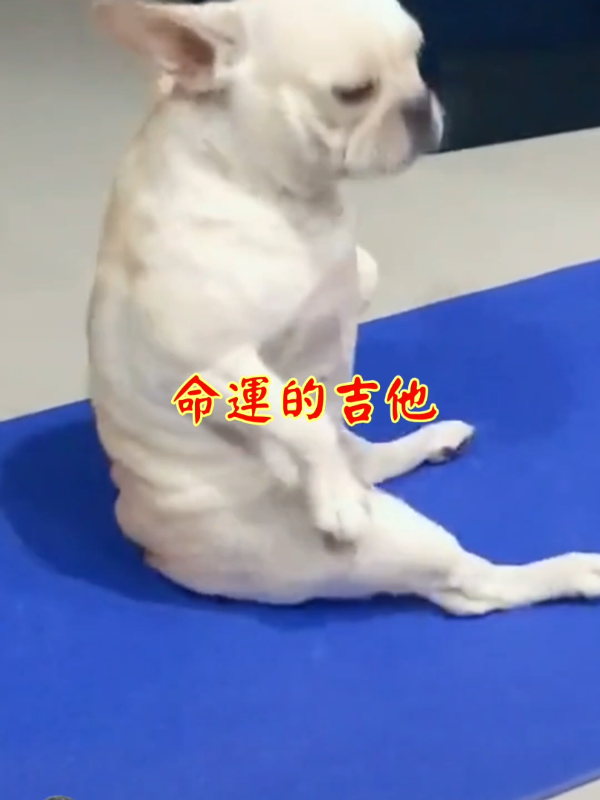 @雞不叫也天亮