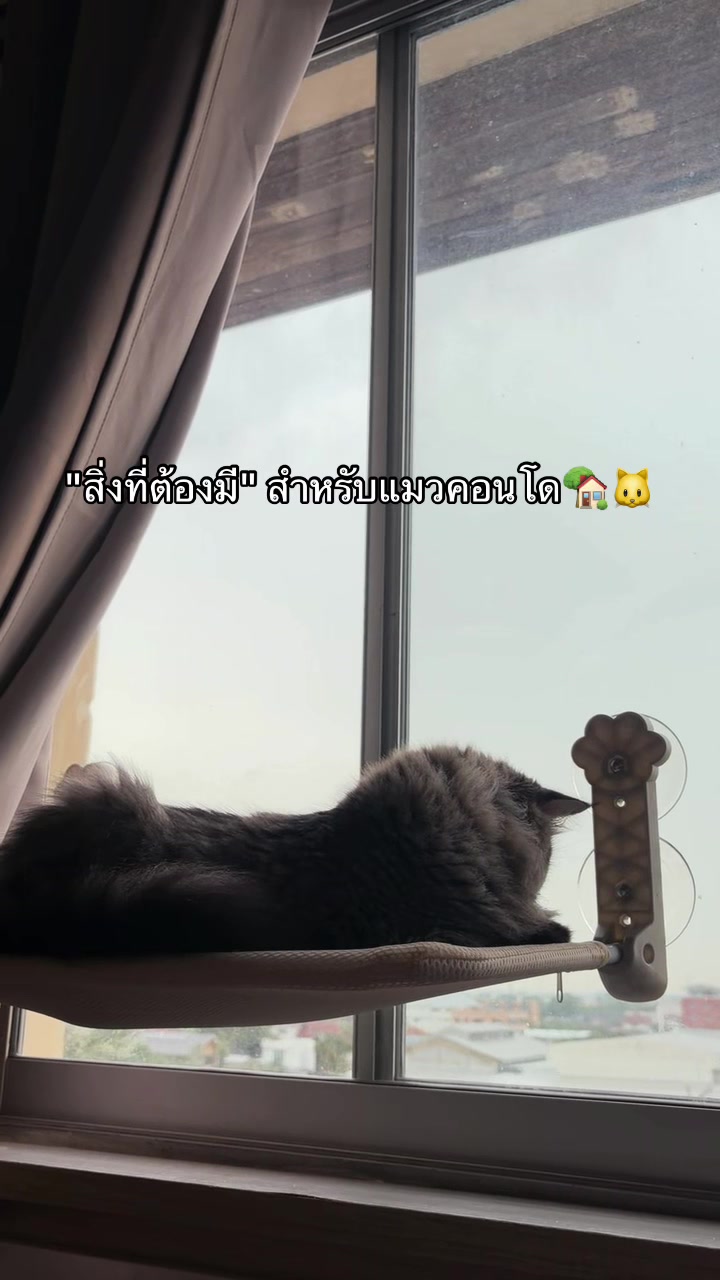 @•______•