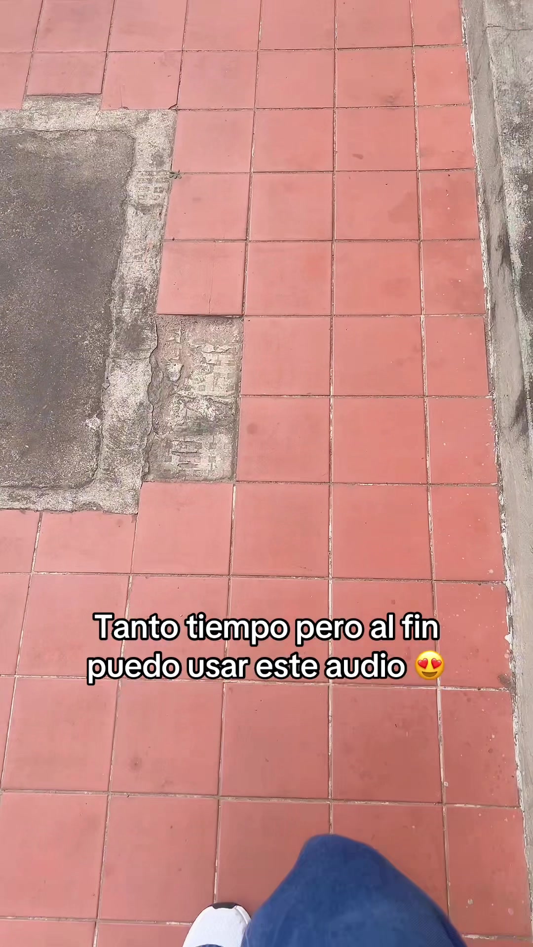 @Fabiana Terrazas Su&aacute;rez