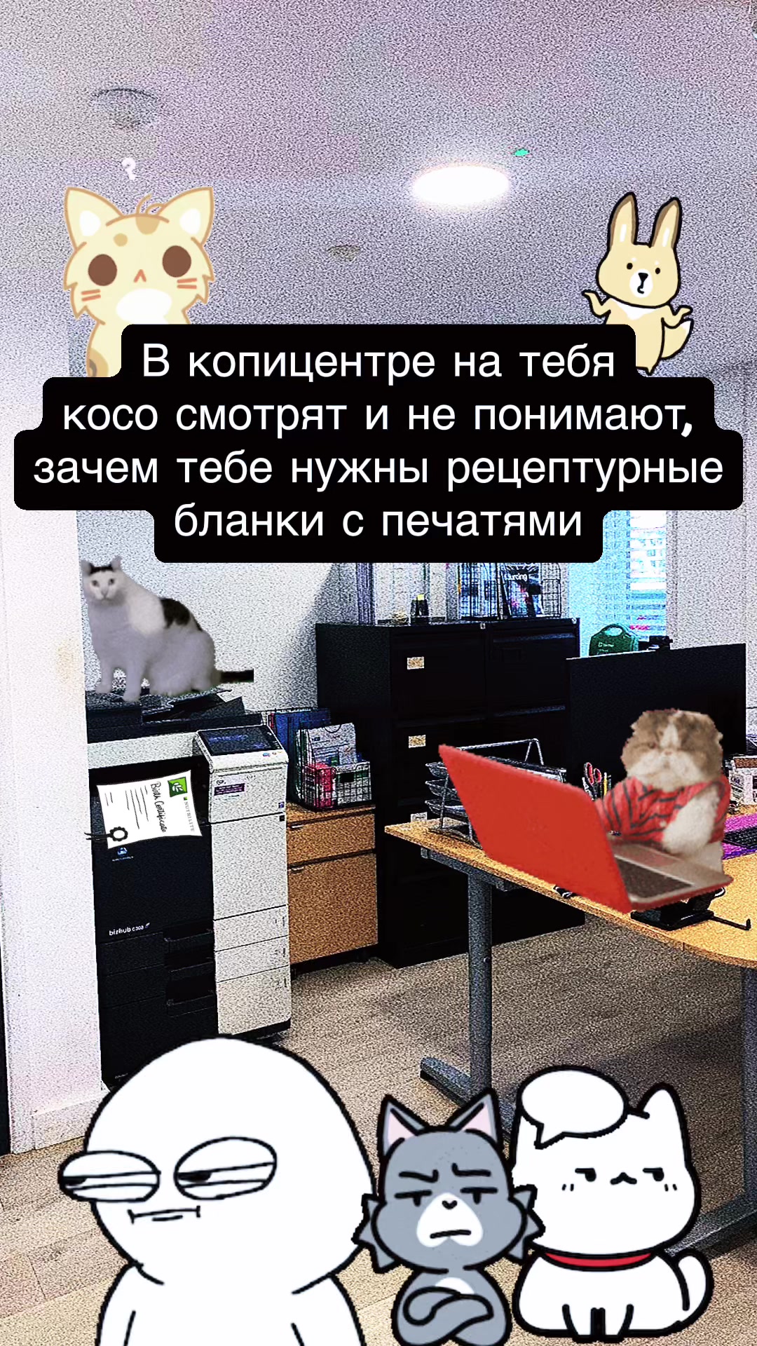 @_fima_is_not_here_