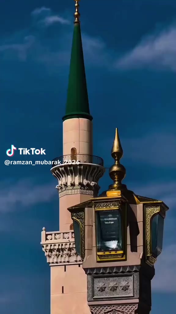 @amanataliali7292