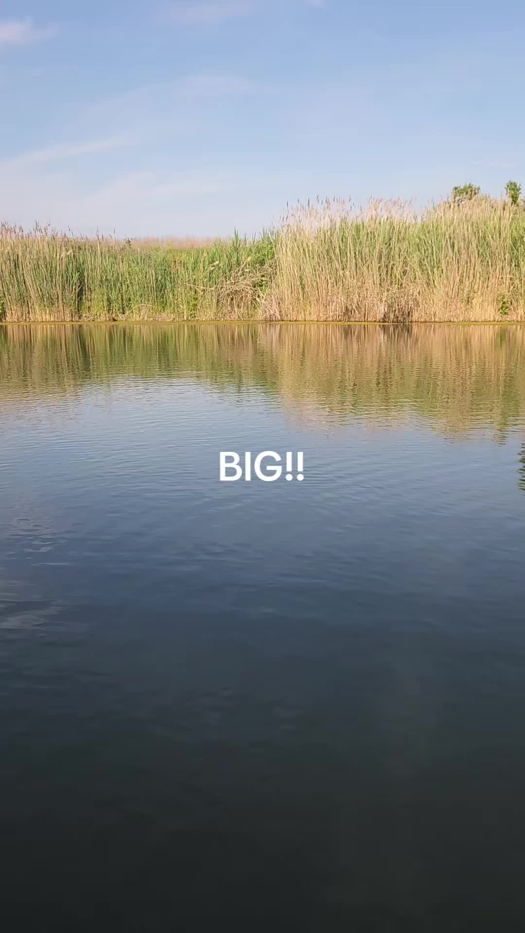 @brantsharp1