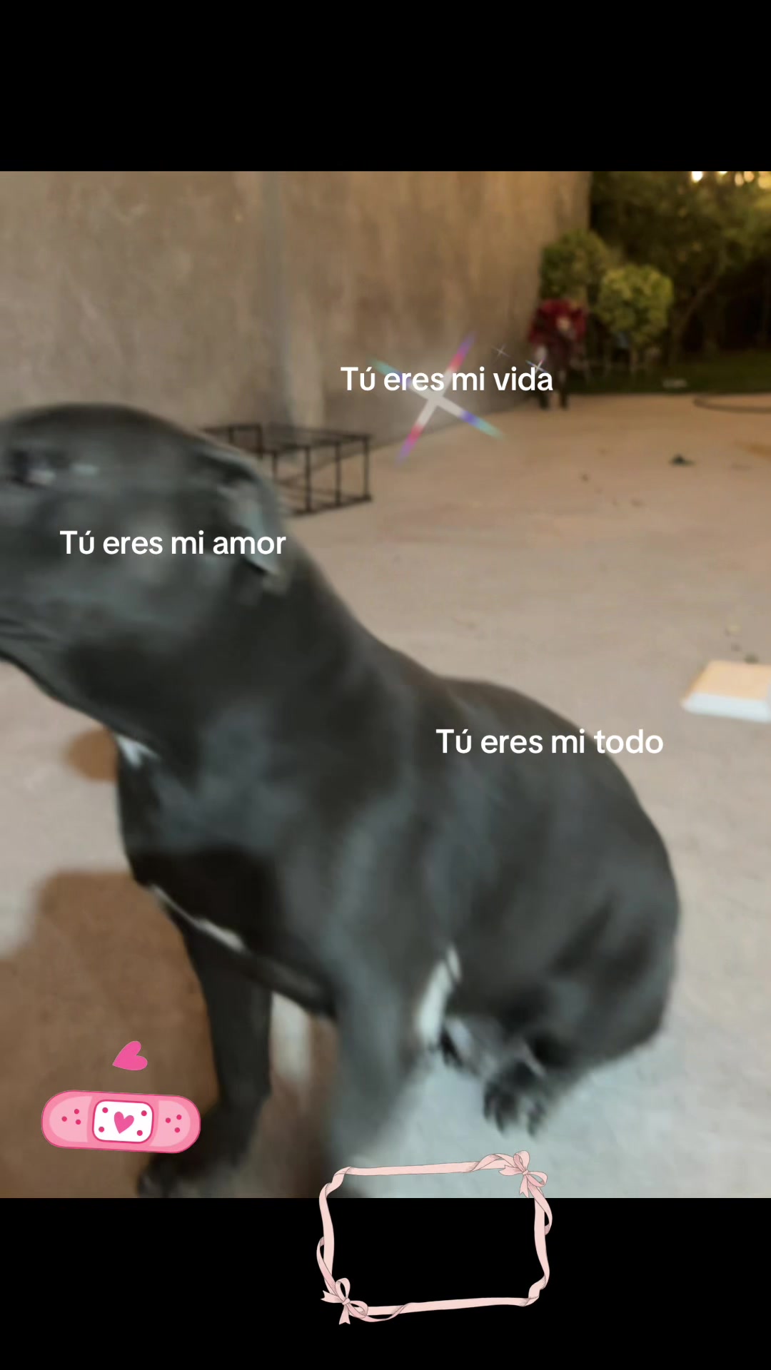 @Soy Julieta💜