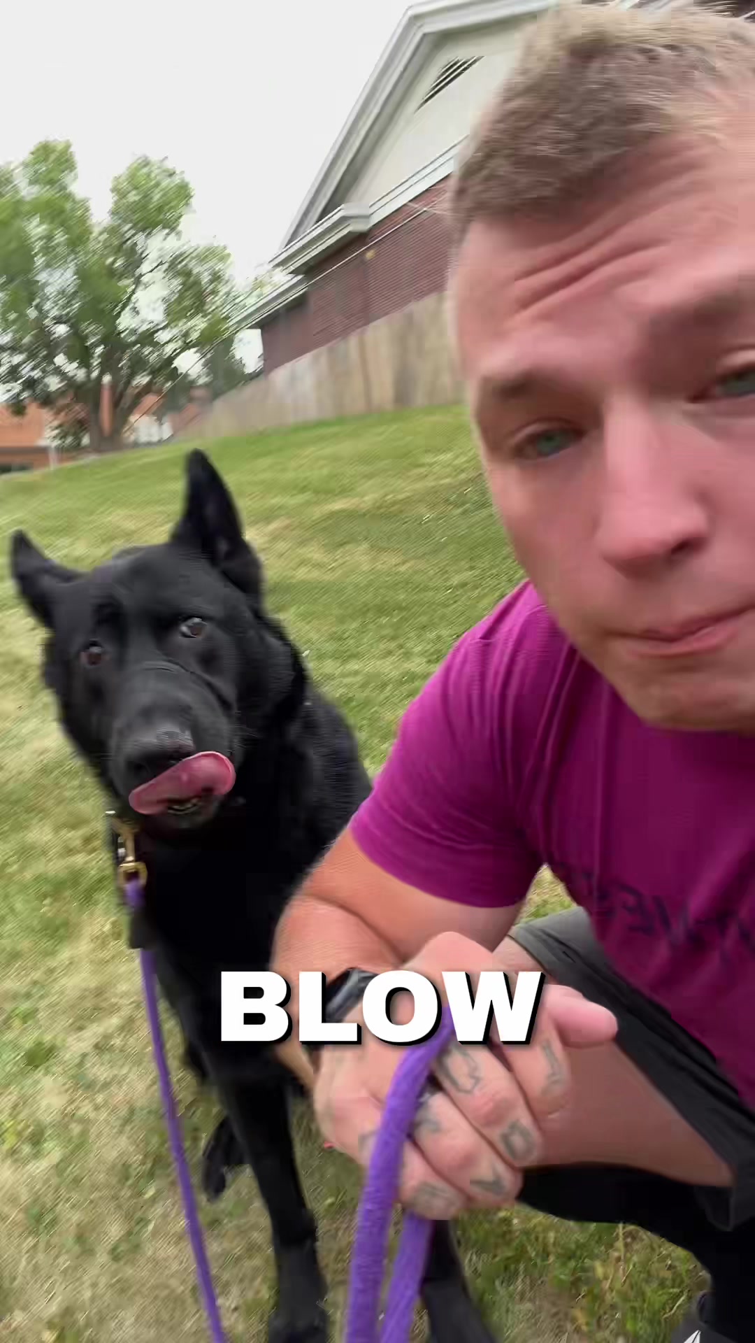 @shadesweep