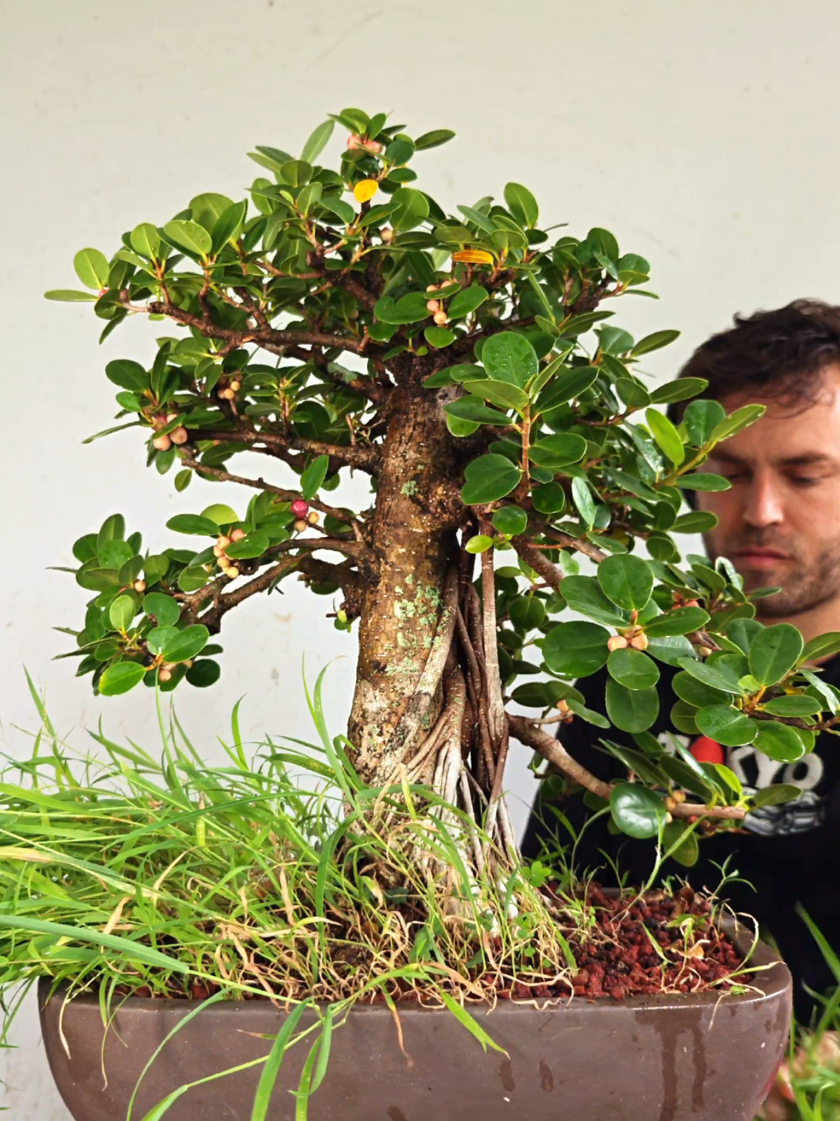 @Bryan Loves Bonsai
