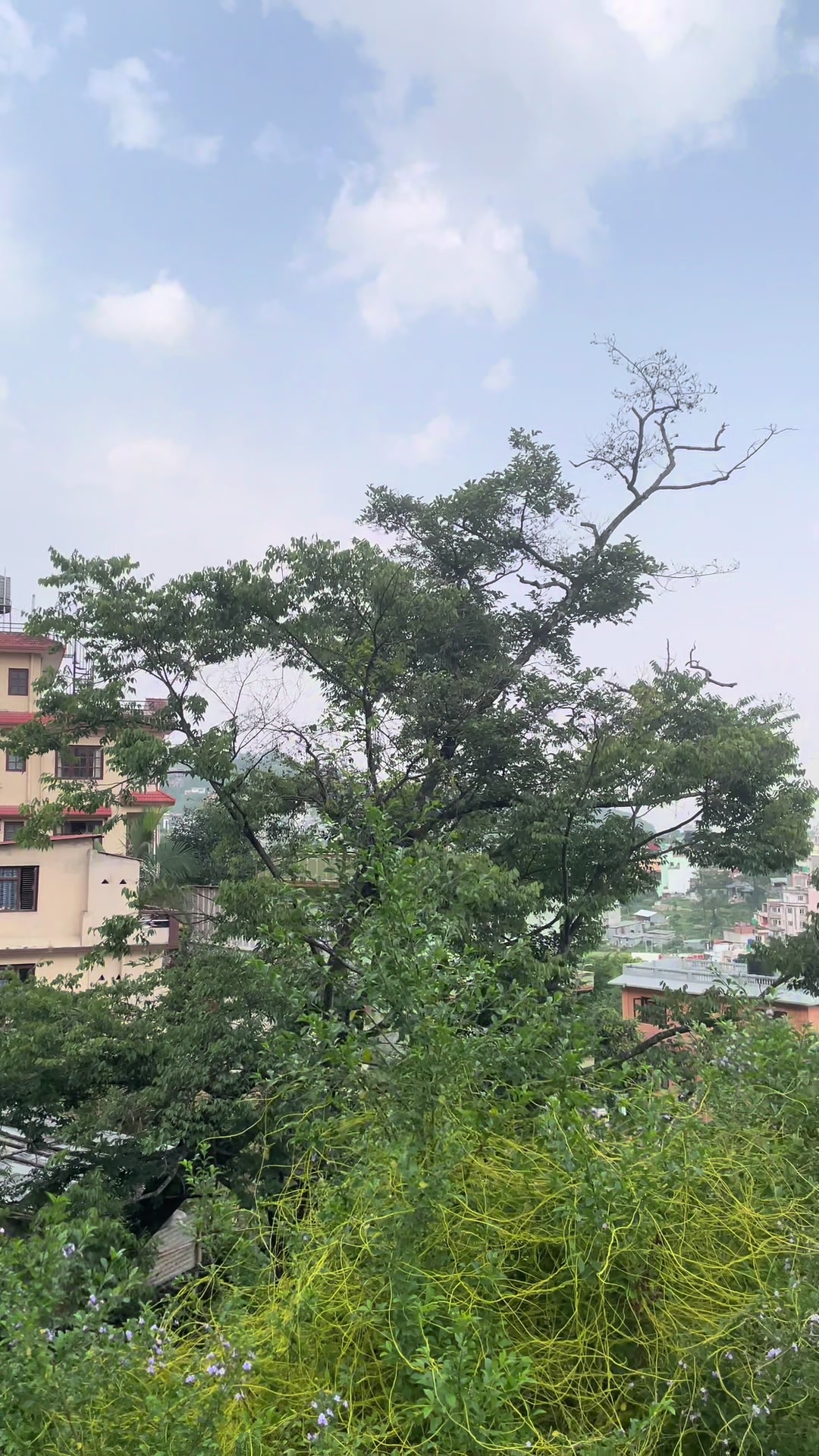 @अर्जुन श्रेष्ठ