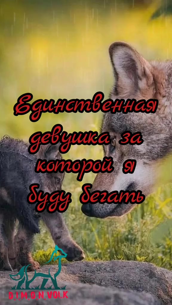 @✸Димон_Волк✸