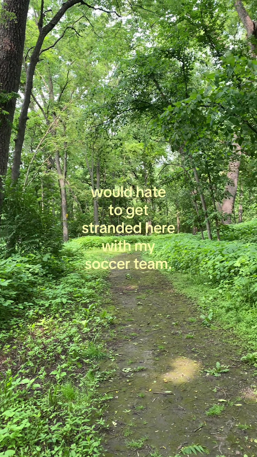 @⊹ ࣪ ˖ ୭˚.