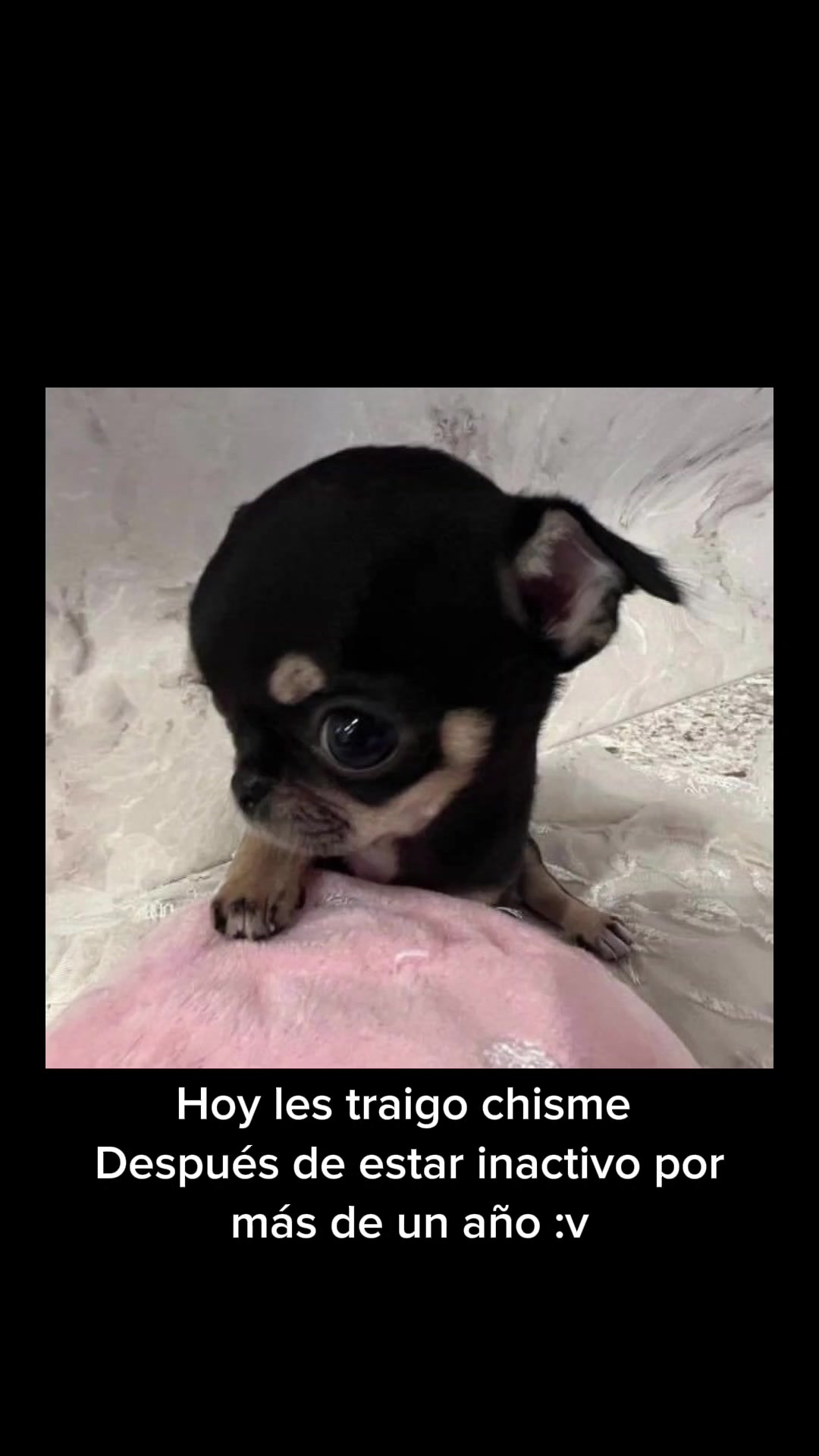 @Leoncio🗣️